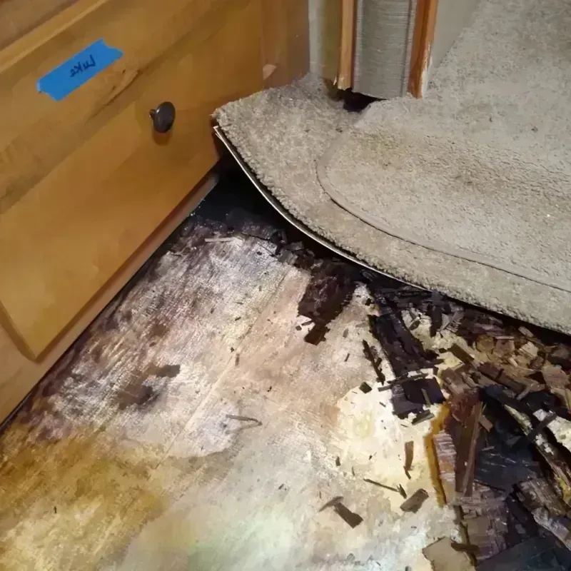 Wood Floor Water Damage in Bayou Vista, LA